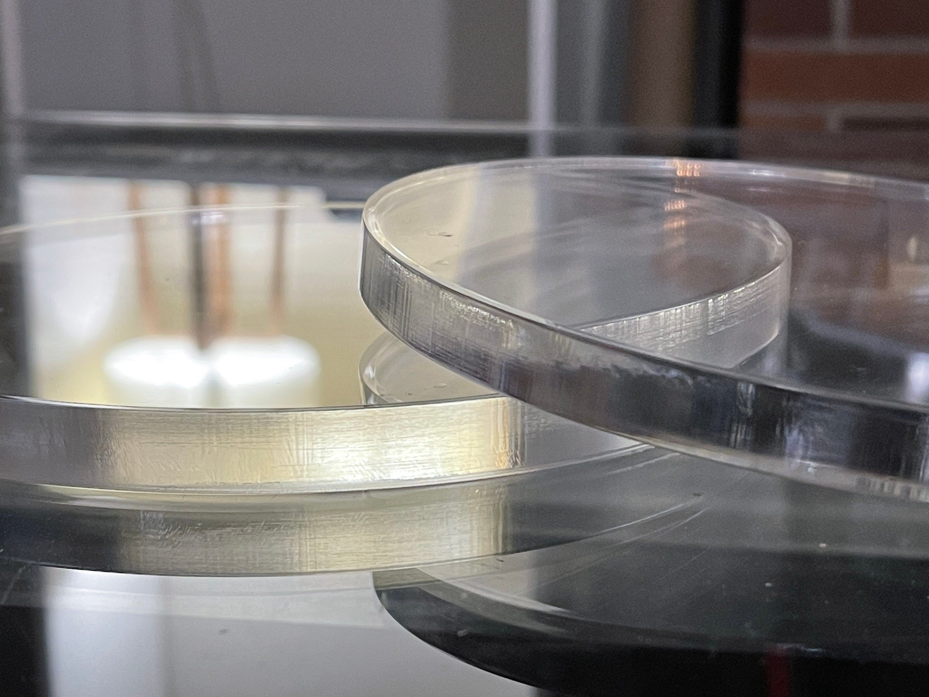 Custom-Cut Clear Acrylic Circles | 1/2” Thick Plexiglass Discs – Craft Blanks, Cake Bases, Display Platforms