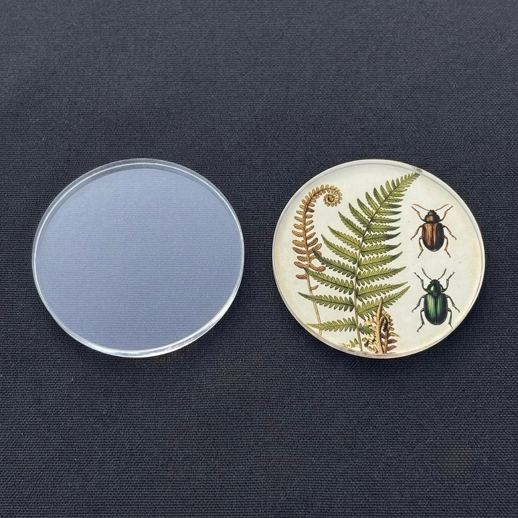A round glass keepsake dish with a clear lid sits beside an open dish showing vintage-style botanical illustrations of ferns and beetles on a cream background, set against a dark textured fabric backdrop.
