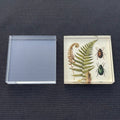 Clear Acrylic Square Blanks for UV Printing — 1/8" Cast Acrylic